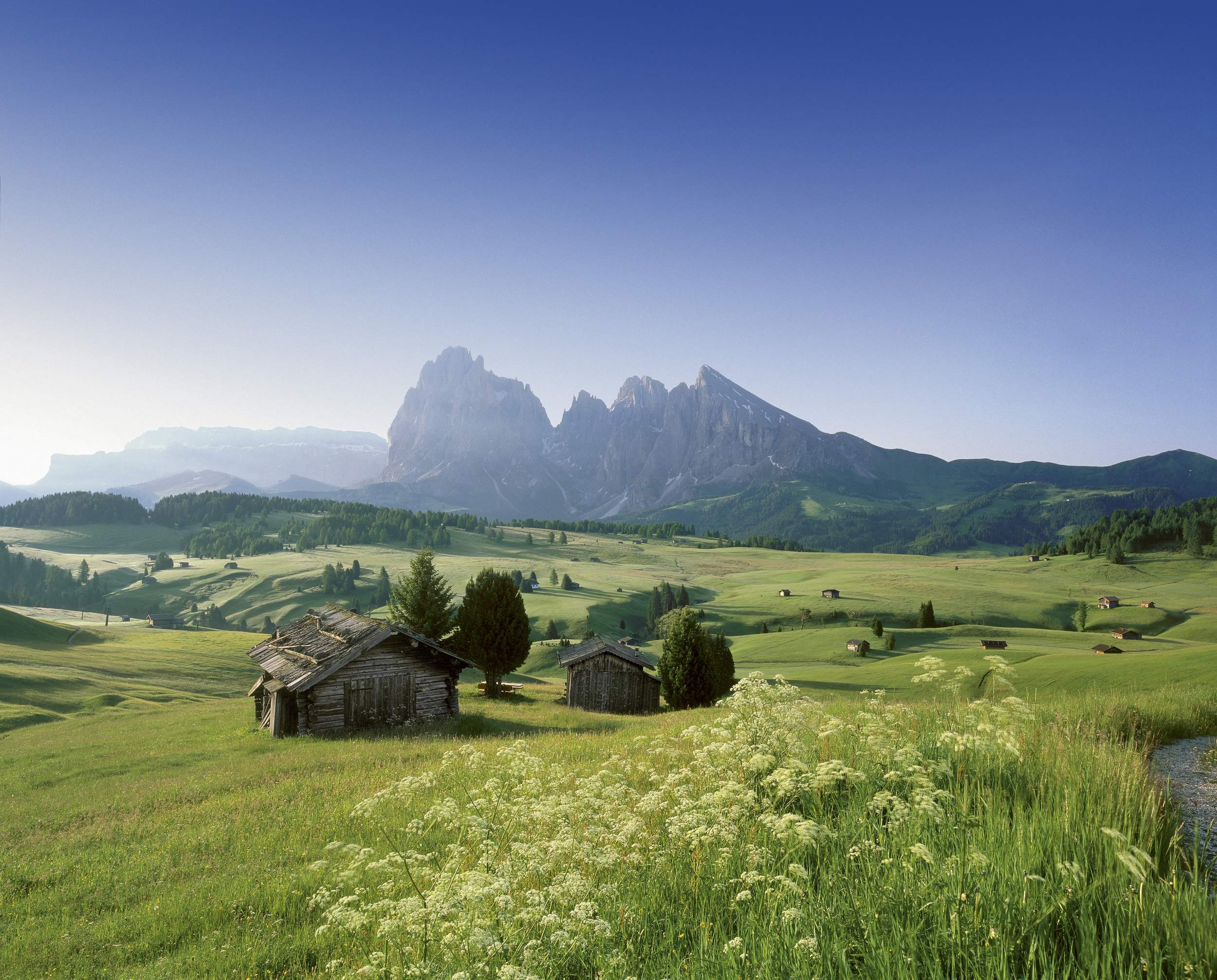 Wooden huts on a green plateau surrounded by green meadows and conifers. In the background the Dolomites.