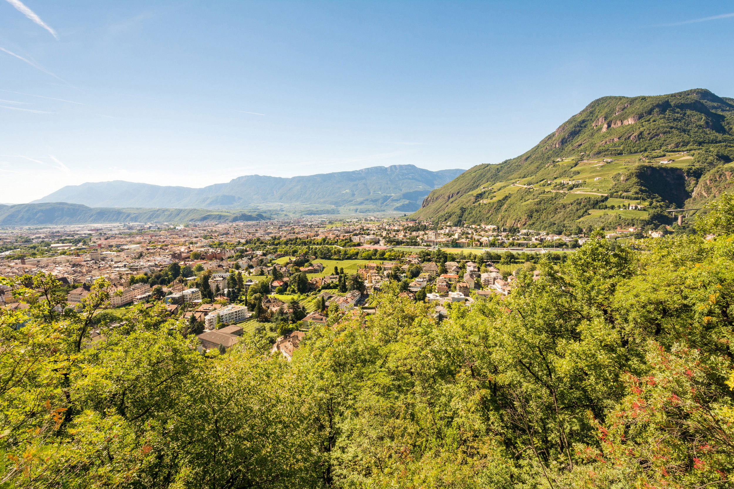 View of a town in the middle of a green countryside, framed by trees and distant mountain range.