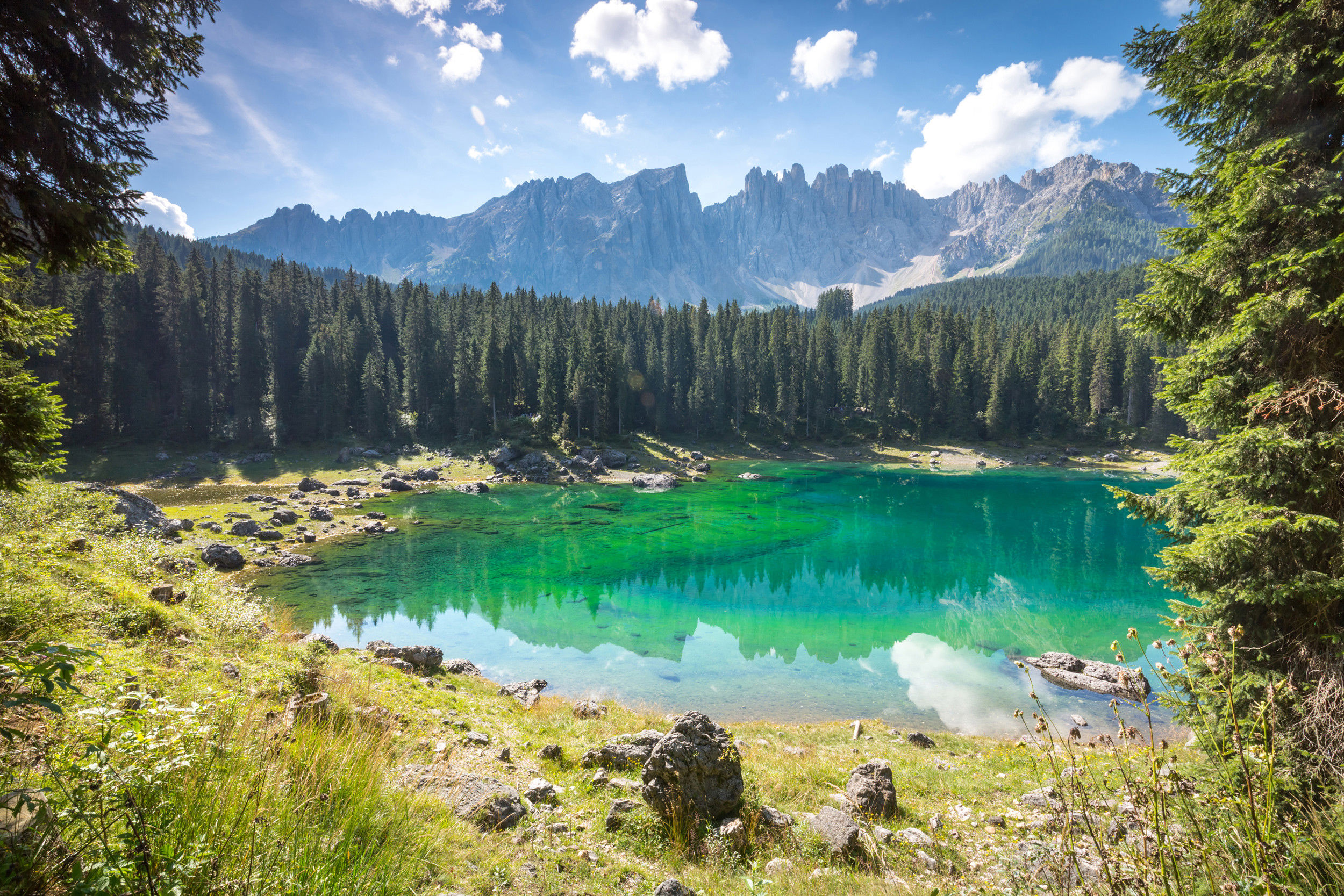 Shores of a bright green mountain lake, framed by coniferous forest and rock faces.