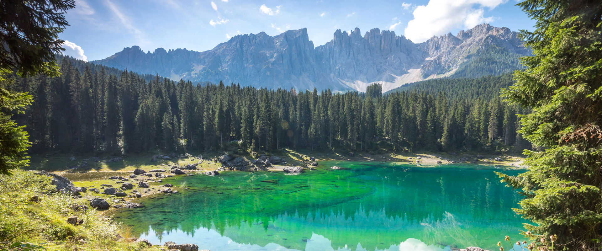 Summer in Eggental. Shores of a bright green mountain lake, framed by coniferous forest and rock faces.