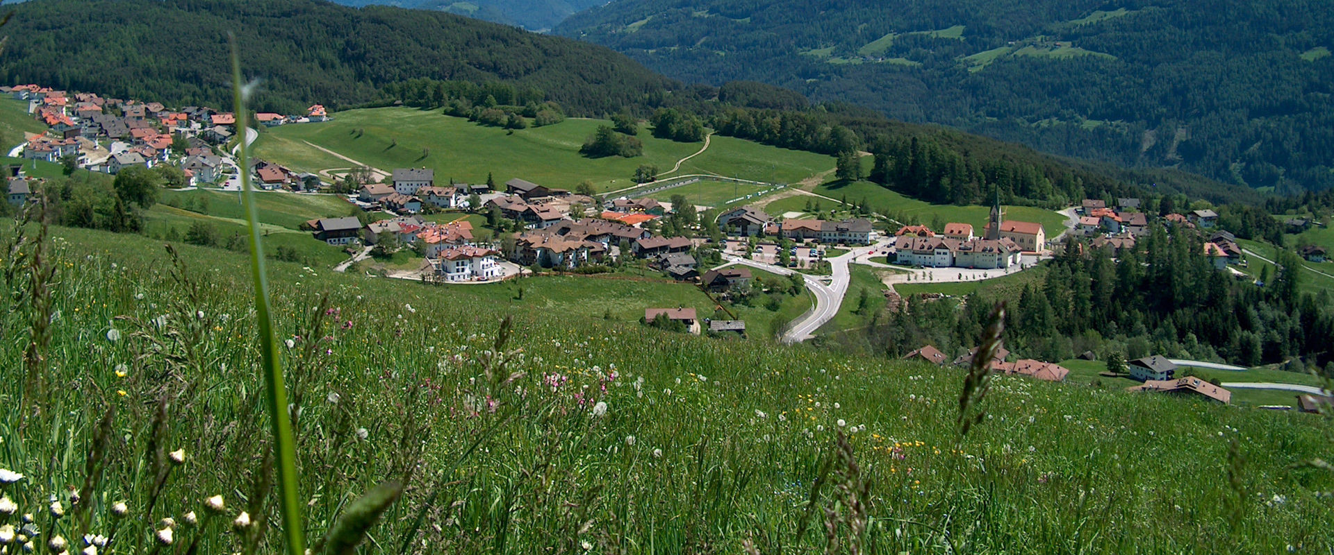 Terenten View of Terenten with green meadwos in summer