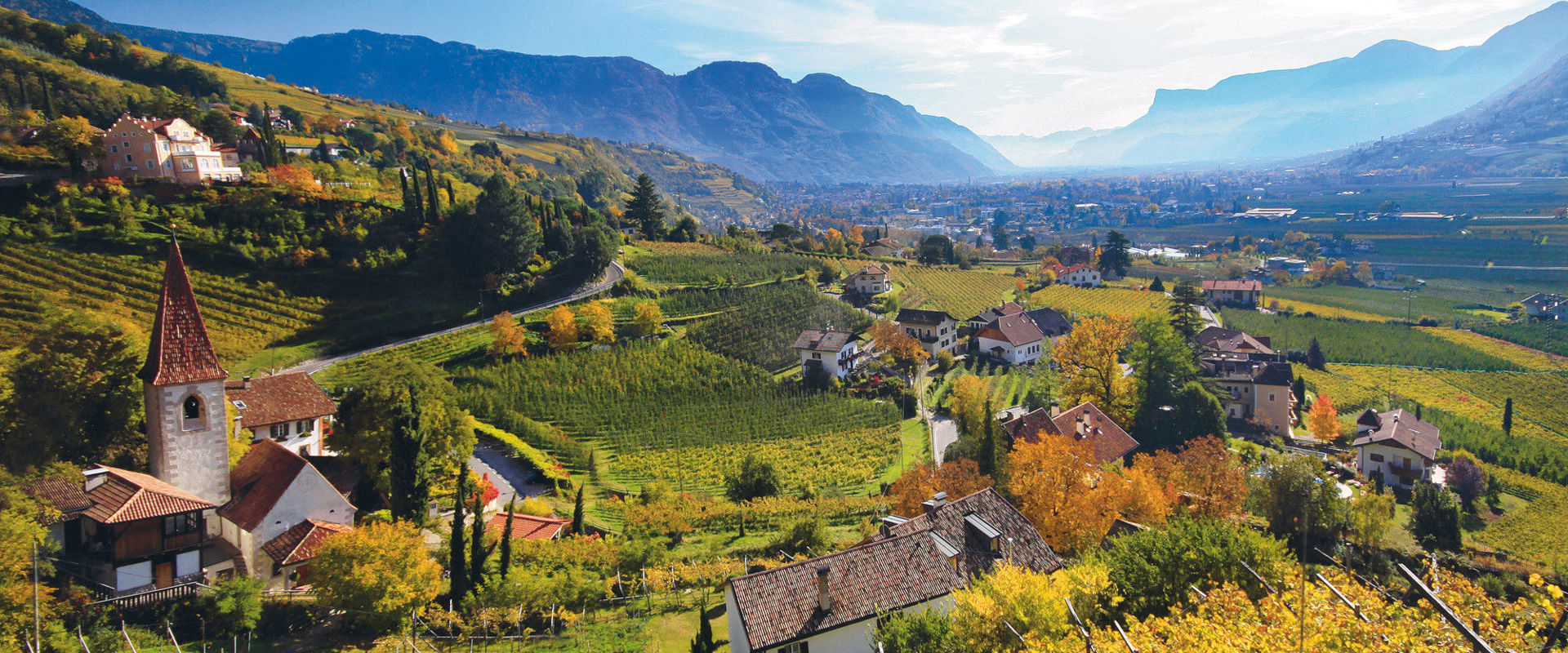 Algund View of the golden vineyards in Algund in autumn
