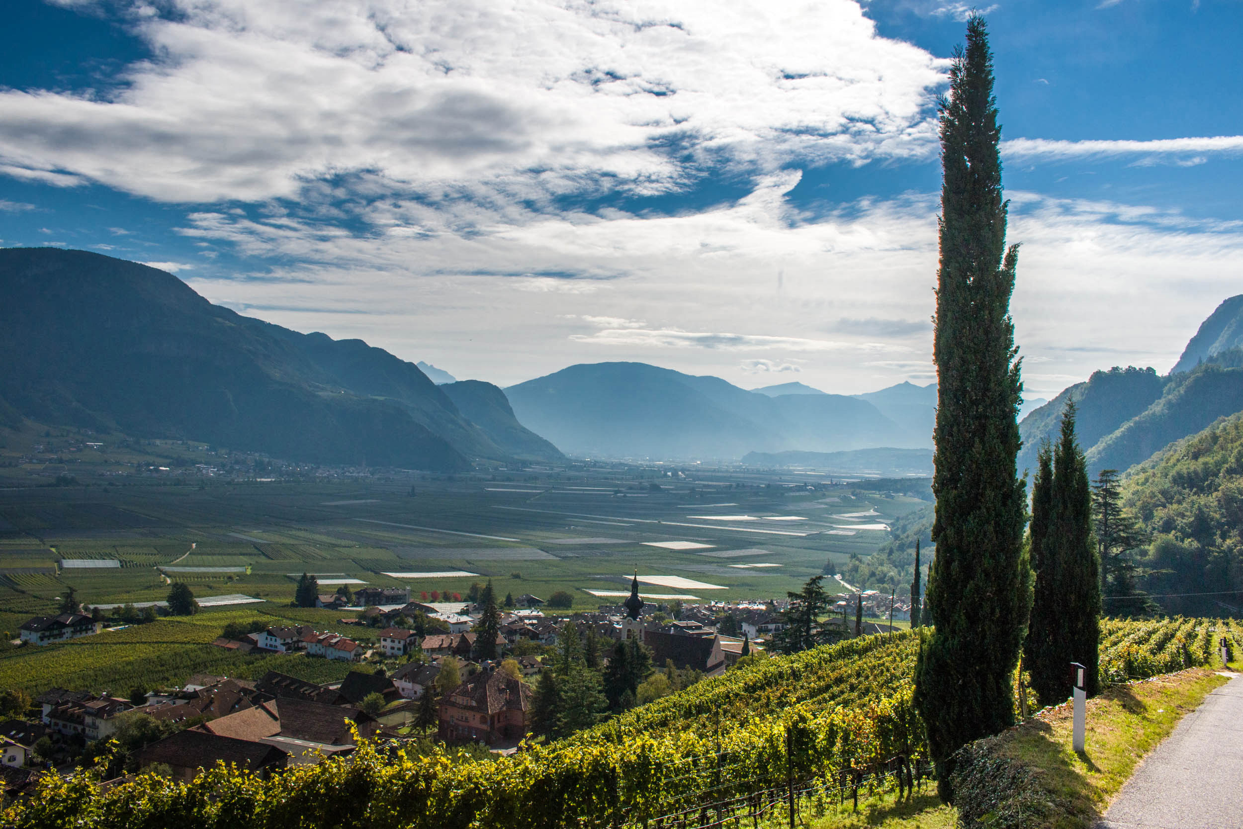 View of the Etsch valley and the rose village of Nals.