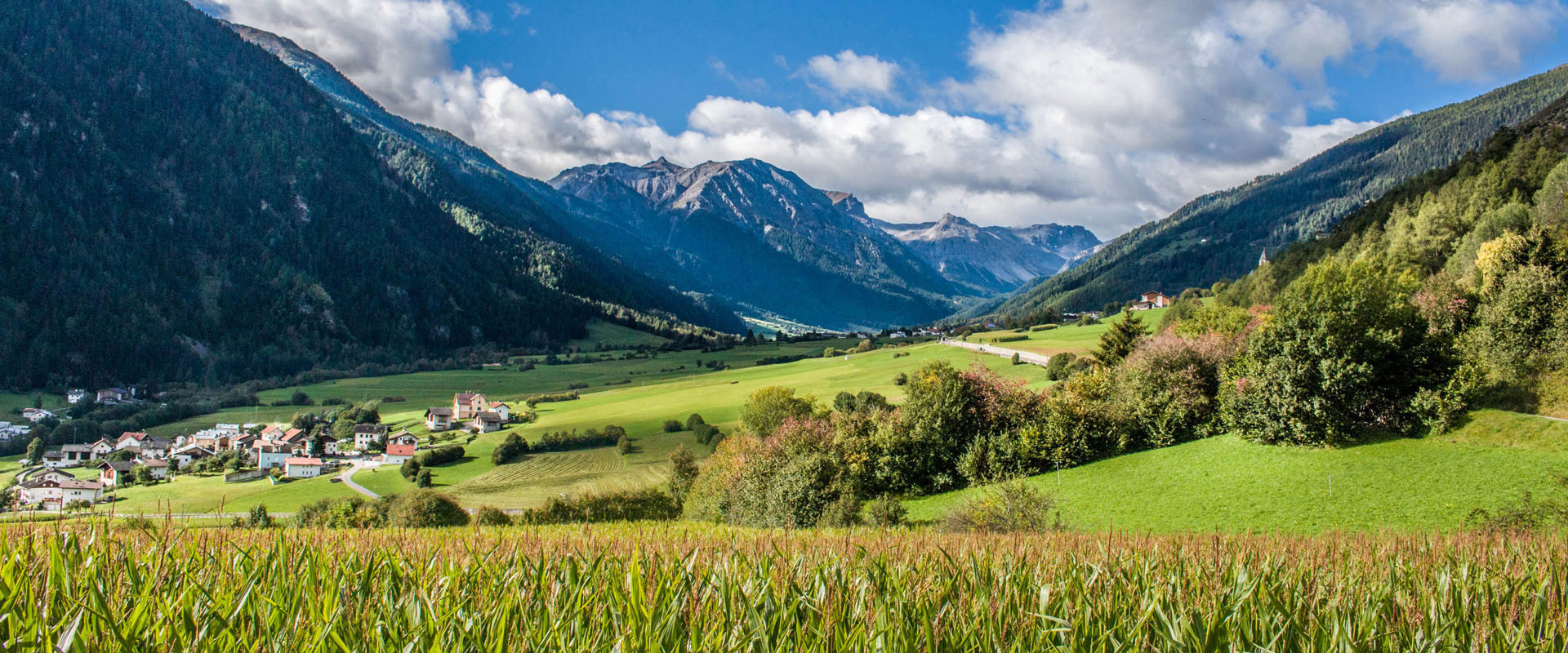 Taufers im Münstertal Taufers in the Münstertal between meadows and forests.