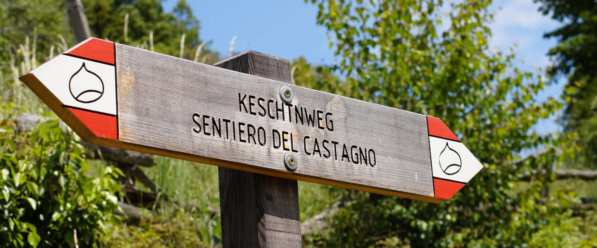 Chestnut trail in Feldthurns Signposting of the chestnut trail in Feldthurns.