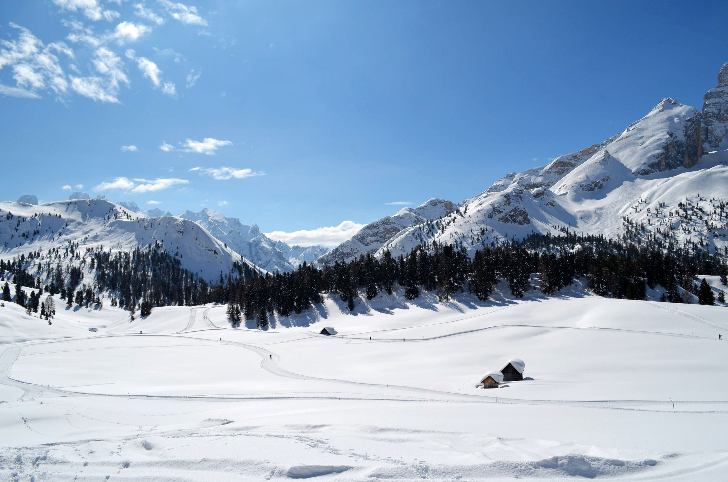 Plätzwiese pasture with cross-country ski run in winter