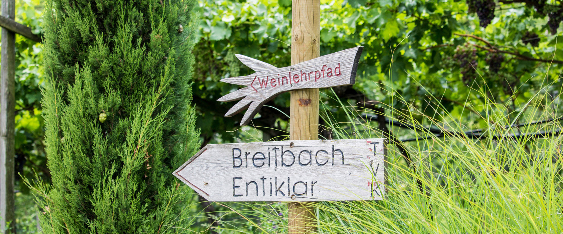 Educational wine trail in Kurtatsch Signposting of the educational wine trail in Kurtatsch.