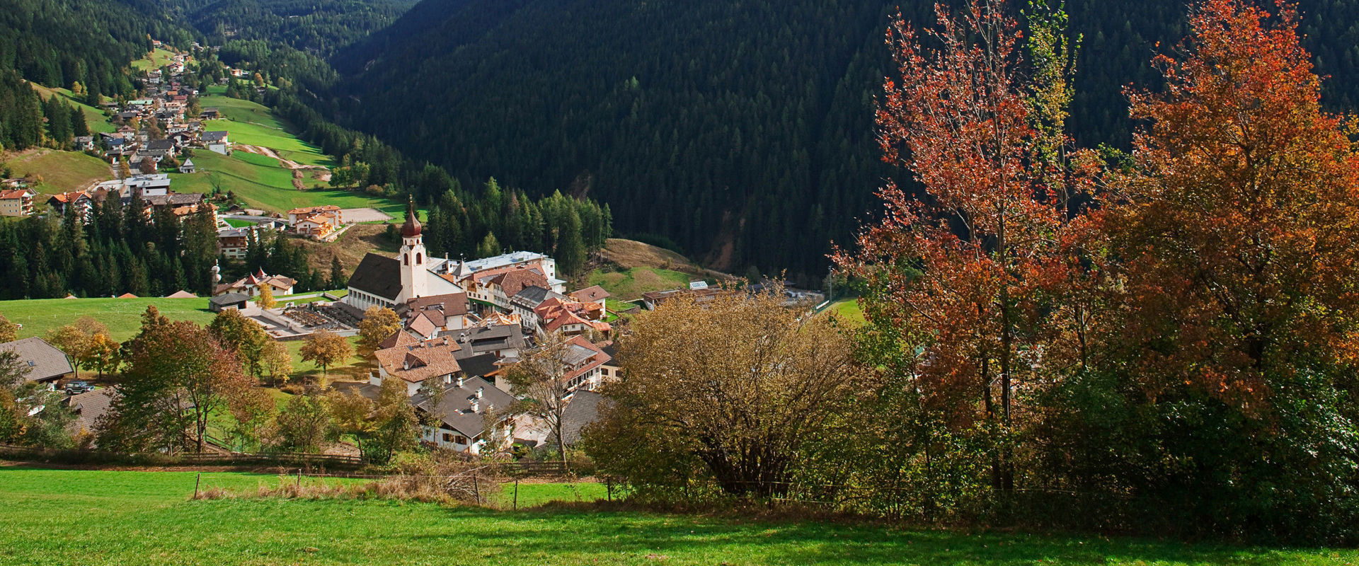 Welschnofen Houses and parish church Welschnofen with autumnal forest and Latemar