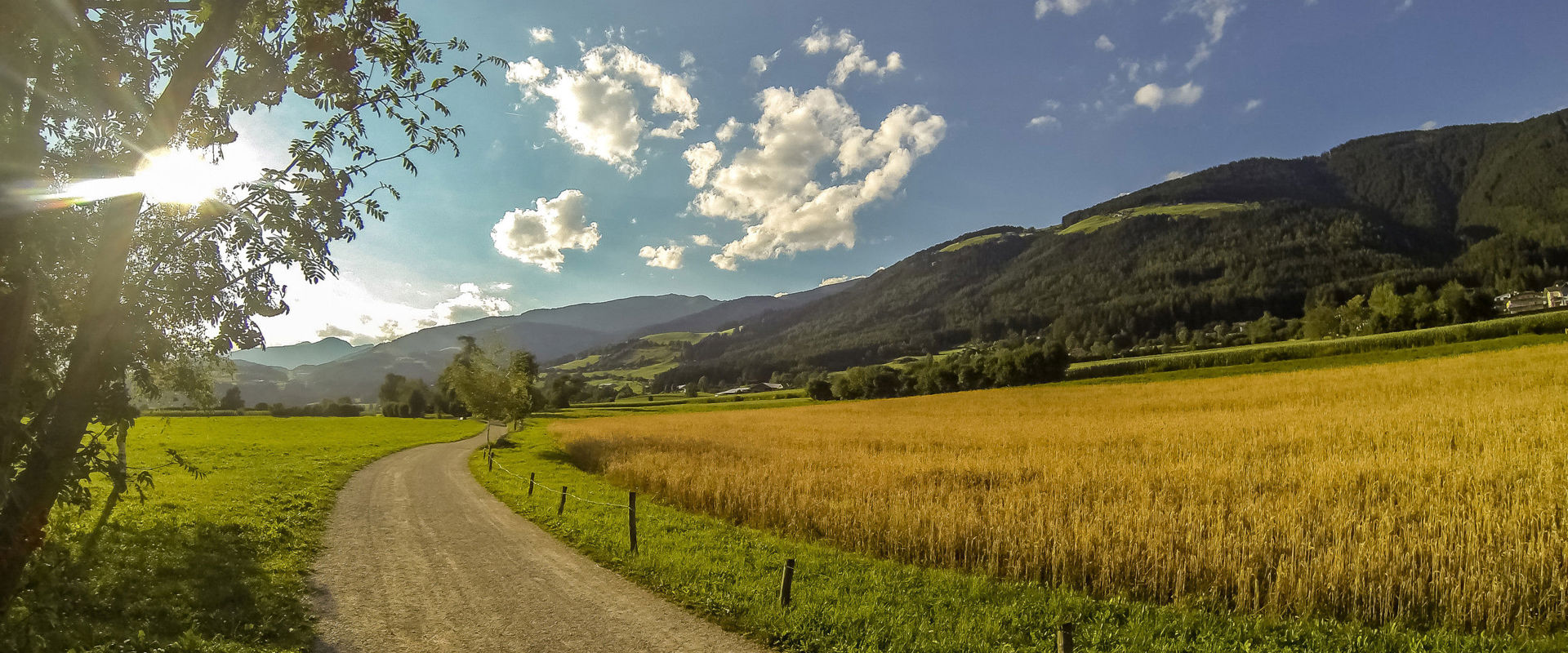 Field path by cornfield in Pfalzen