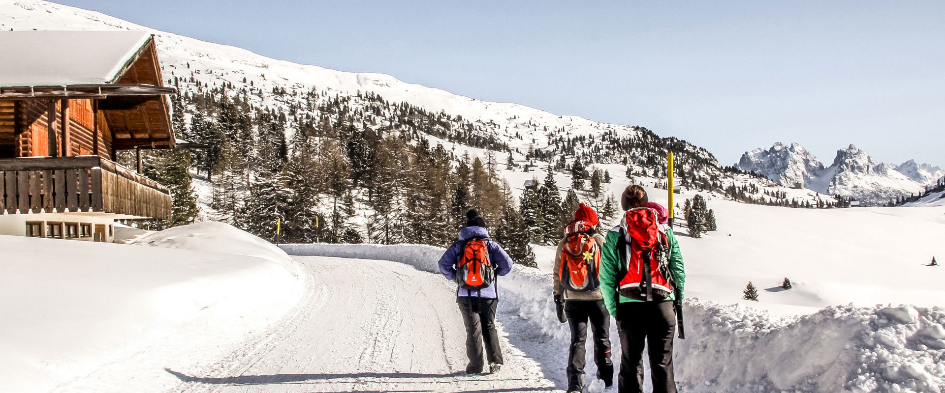 Winter landscape Three hikers along the snow-covered road.