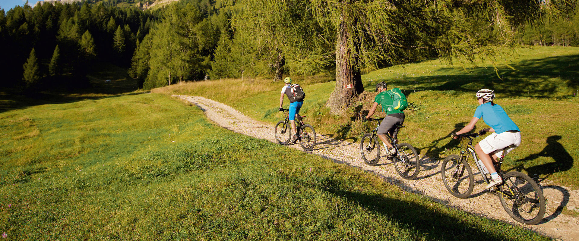 Cyclists are riding along a small path on the mountain. Three cyclists ride along a small path.