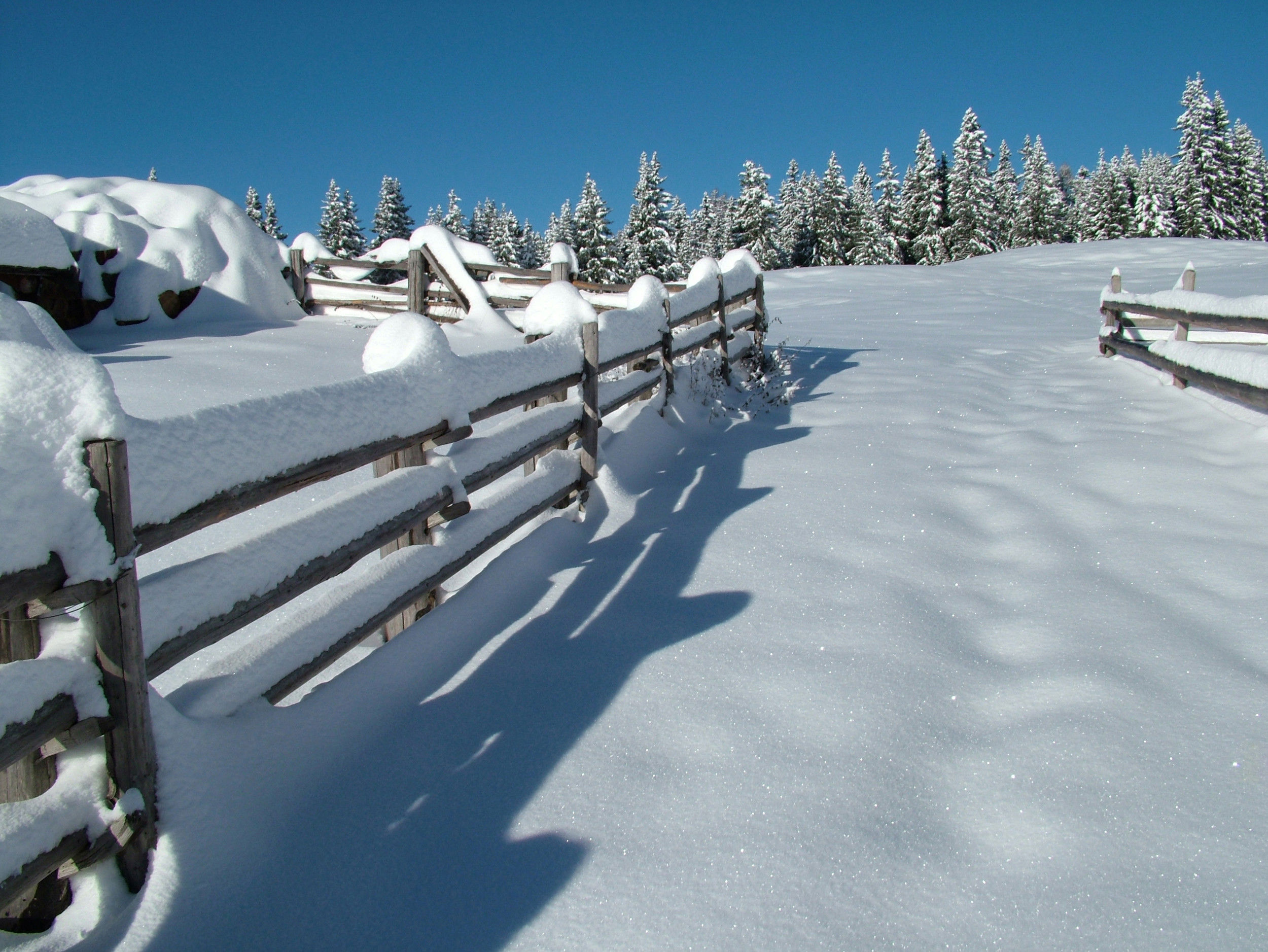 Snow-covered fence and forest near Mölten