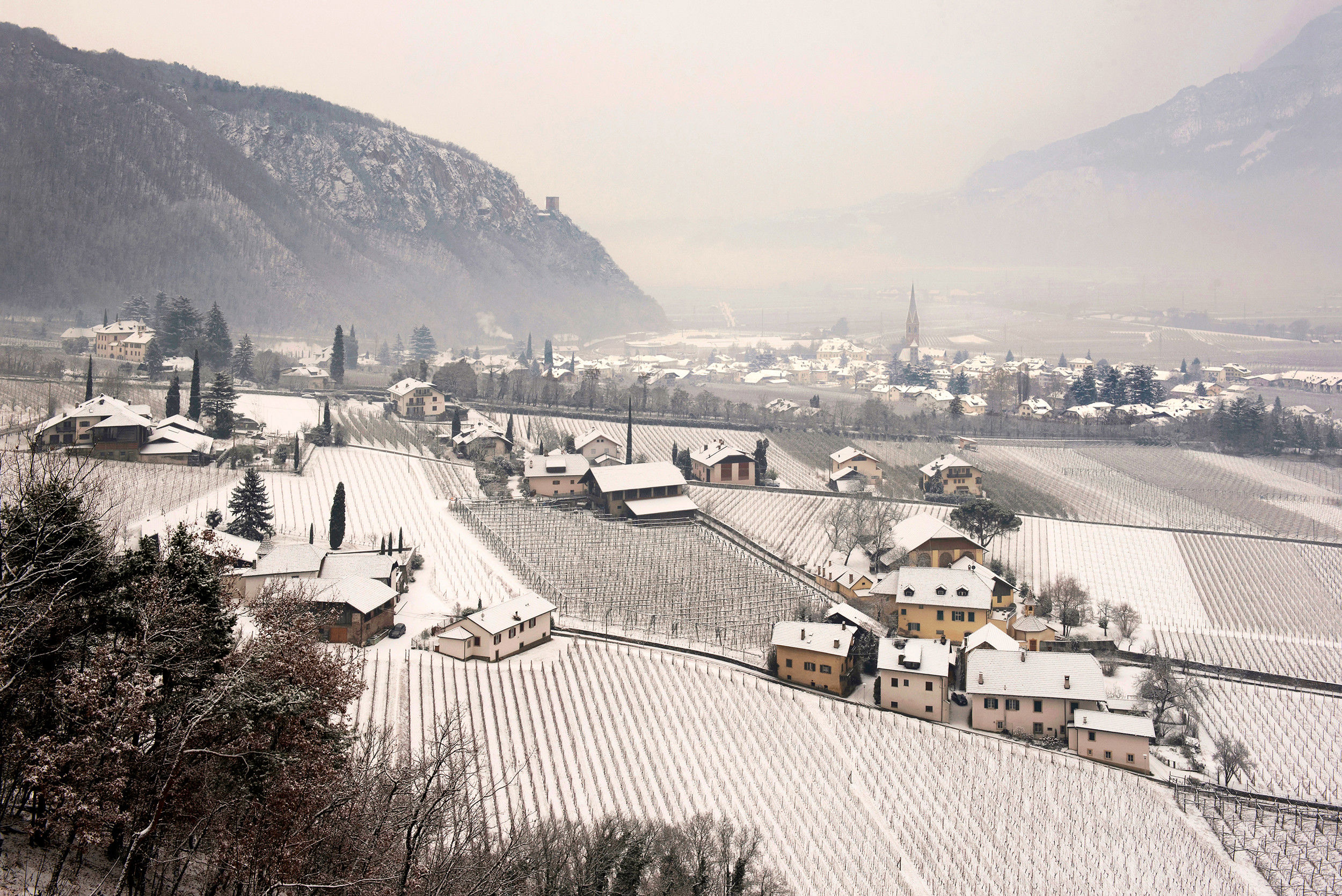 View of Terlan in winter in the middle of bare vines and fruit trees.