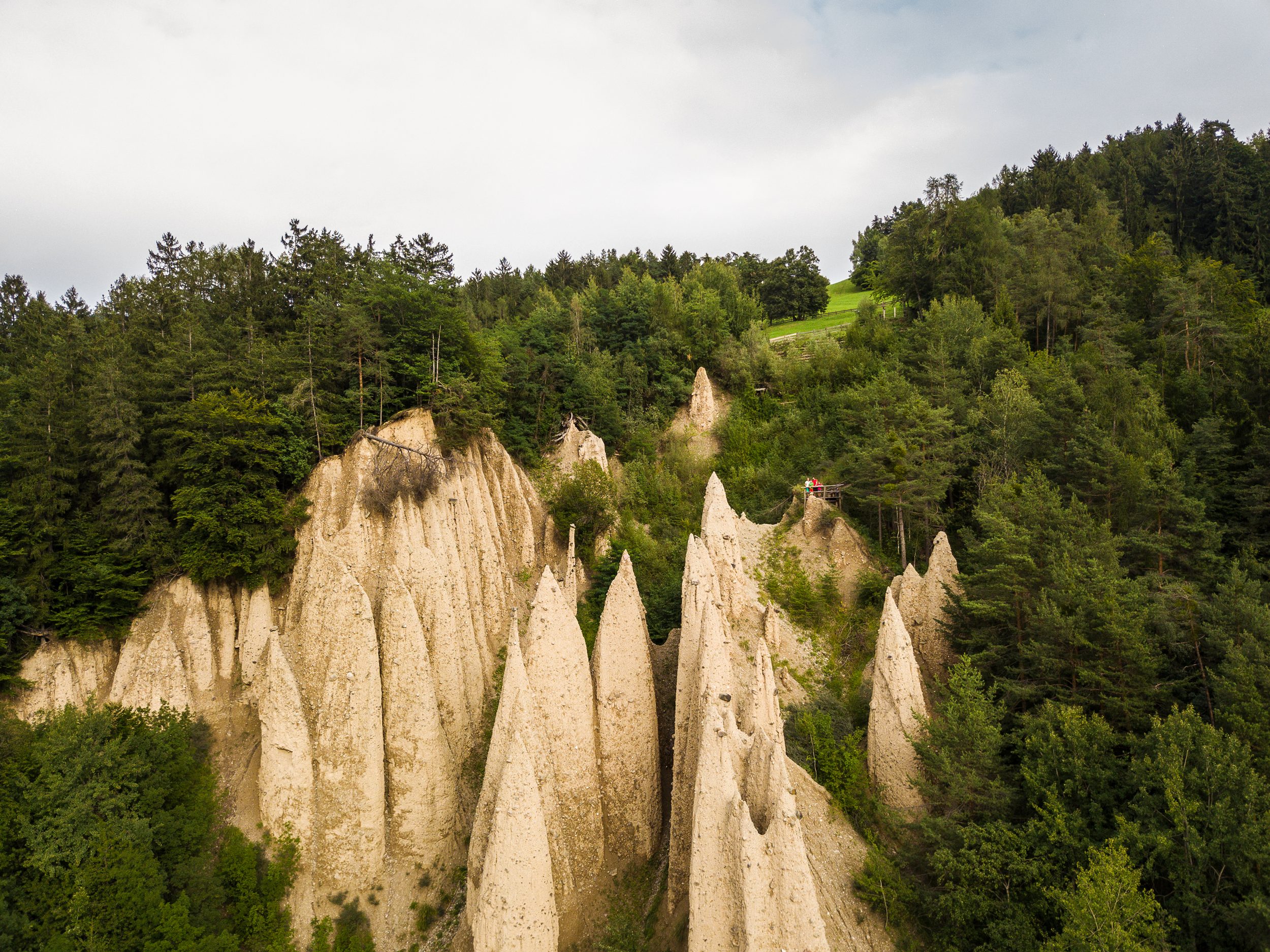 Earth pyramids in the middle of the forest.