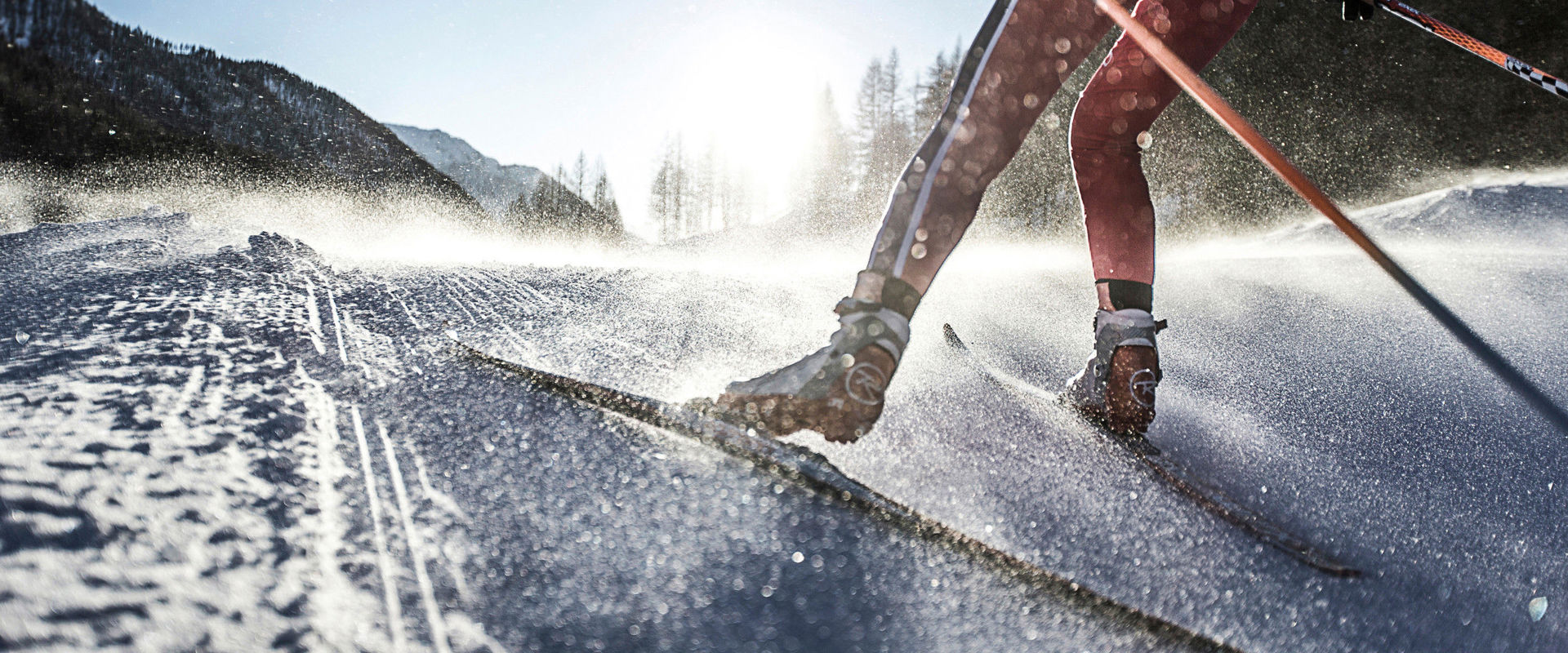 Cross-country skier Cross-country skier rides towards the sun.