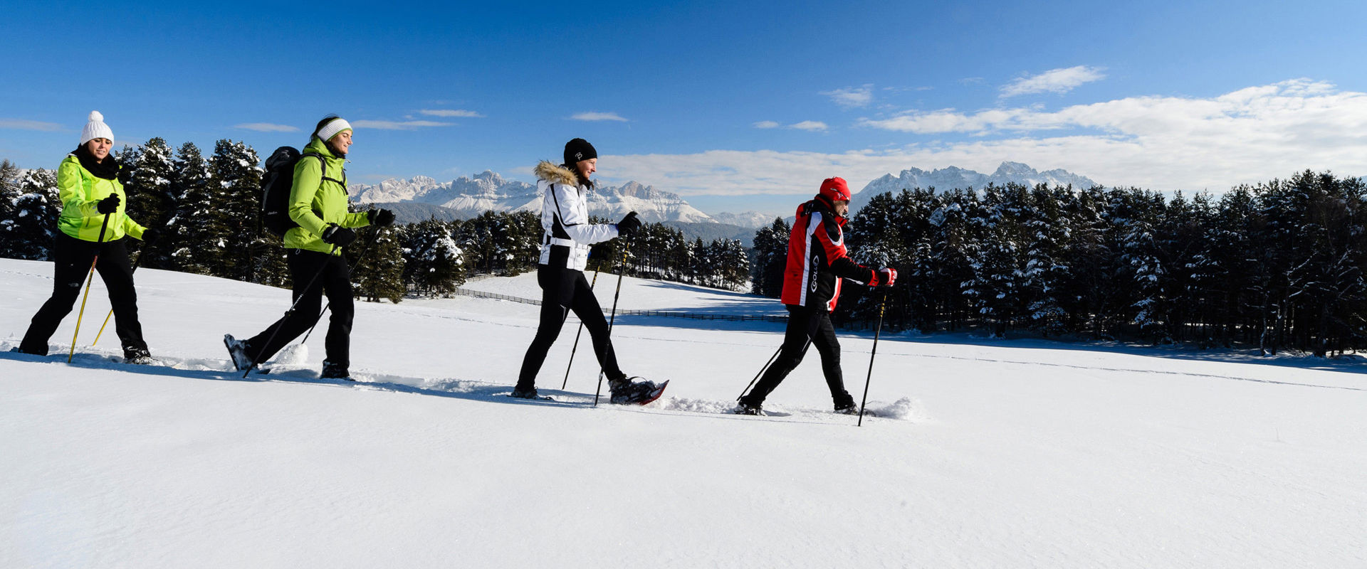 4 snowshoe hikers walk down a snow-covered meadow.