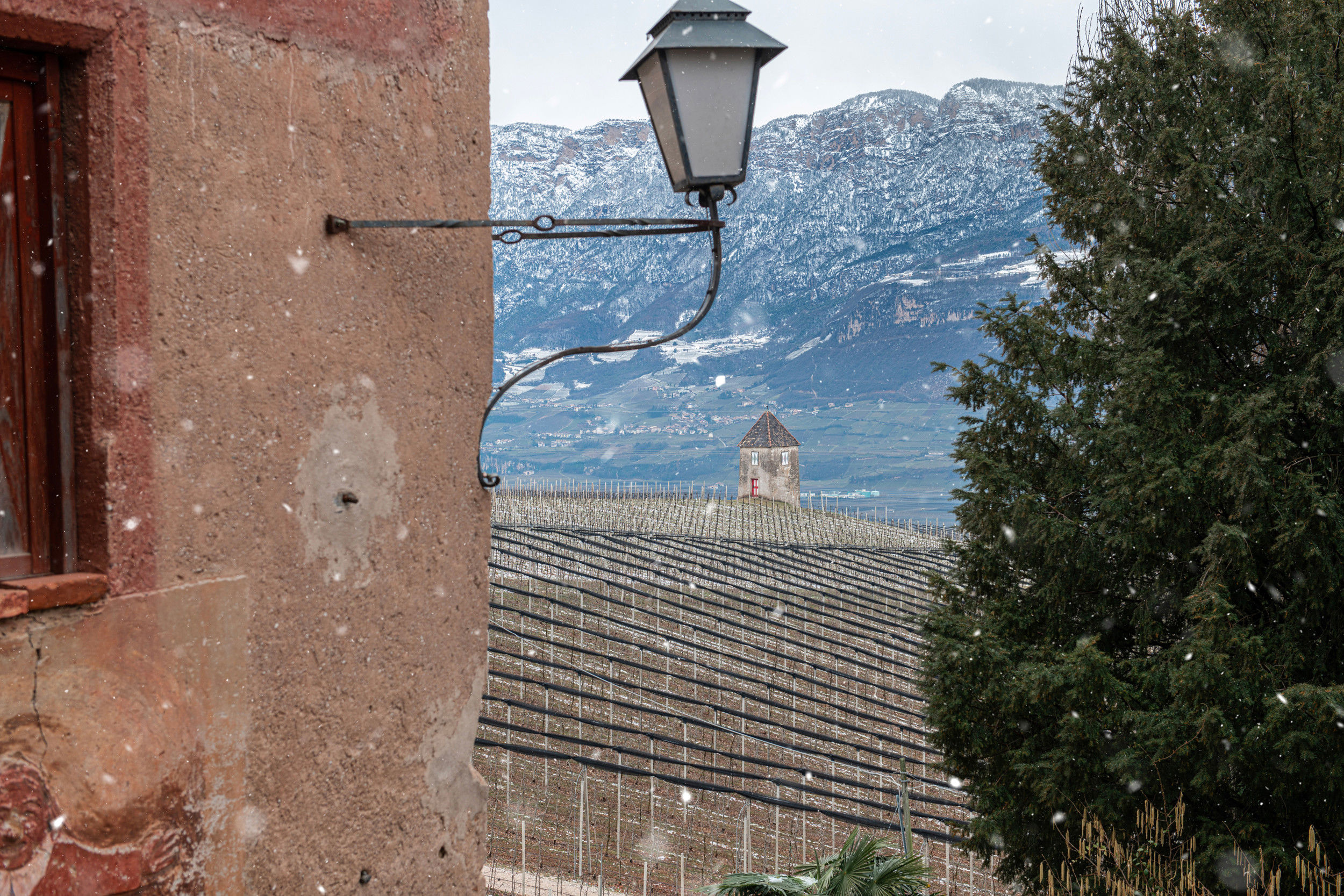 Window view over the lowlands and bare vines.