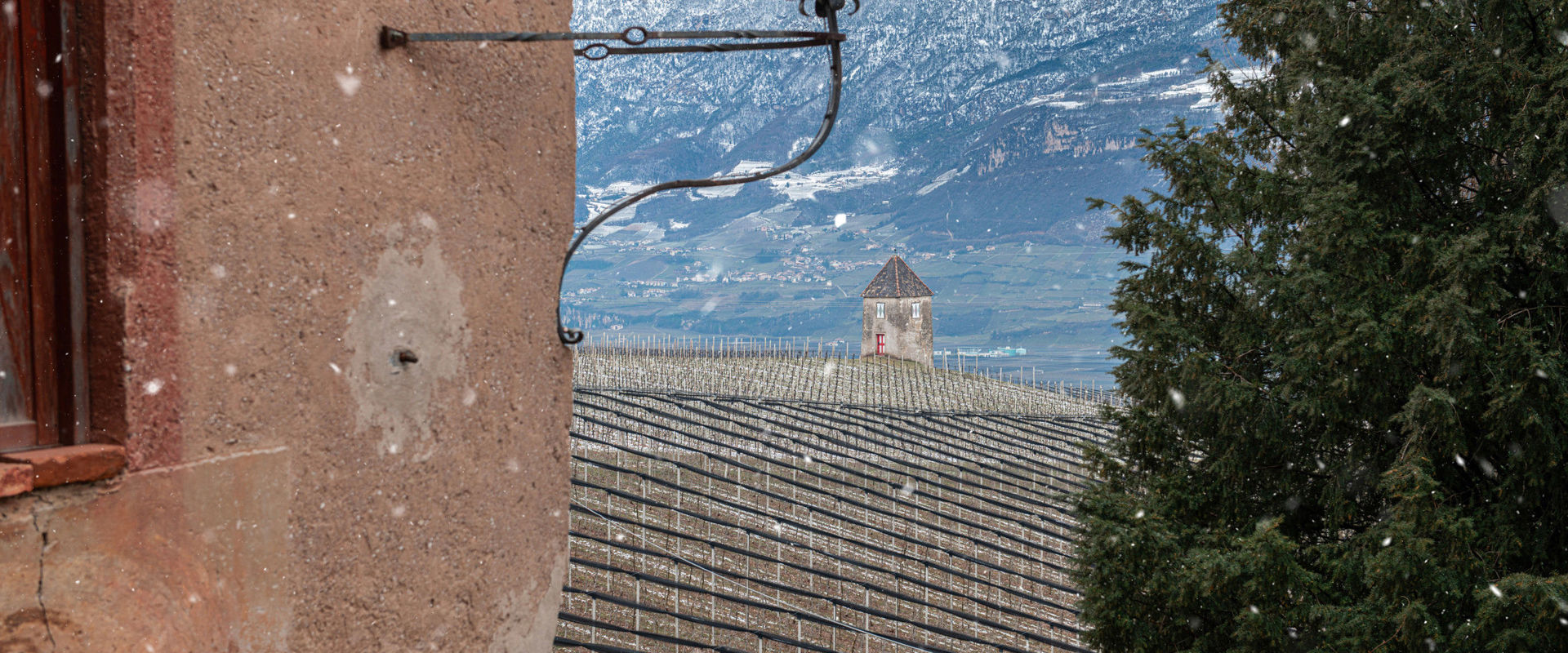 South Tyrolean lowlands Window view over the lowlands and bare vines.