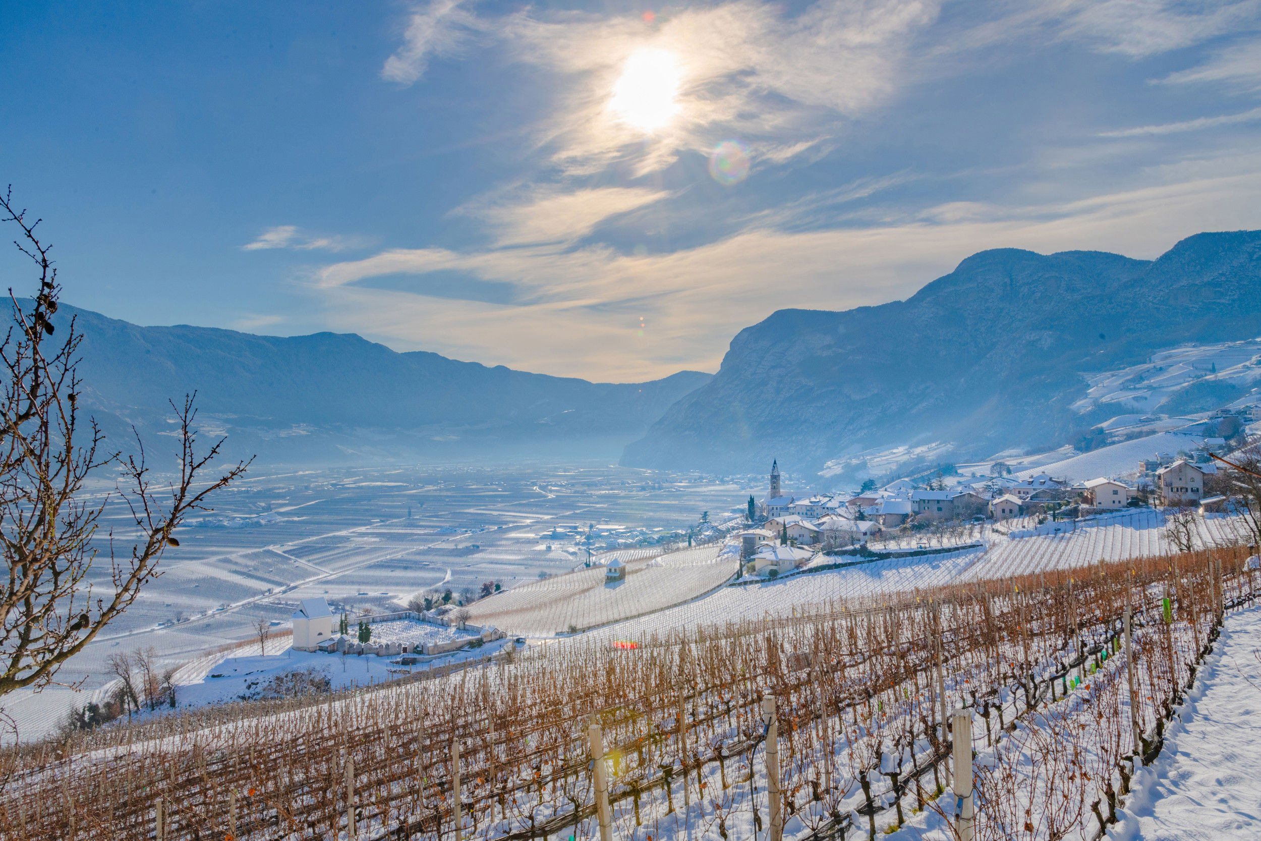 Kurtatsch in winter and vines covered with snow.