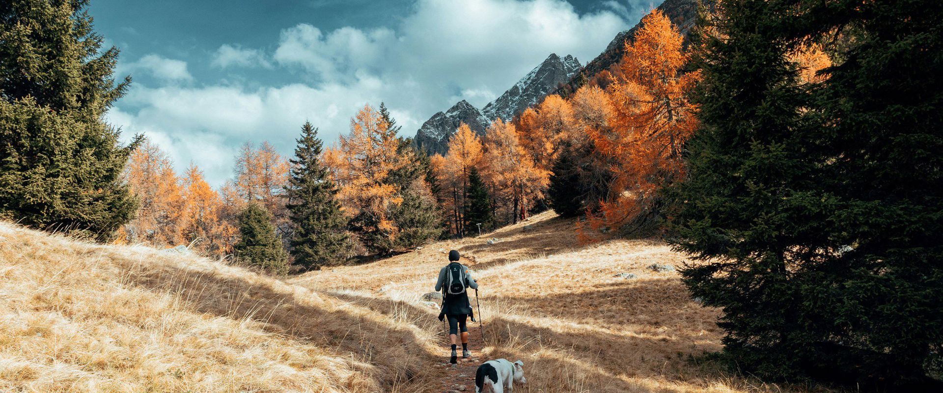 Hikers with dog in the environs of Meran in autumn