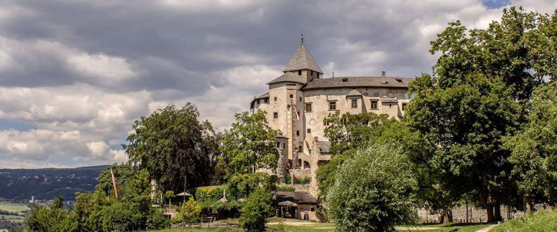 Castle hidden behind trees.
