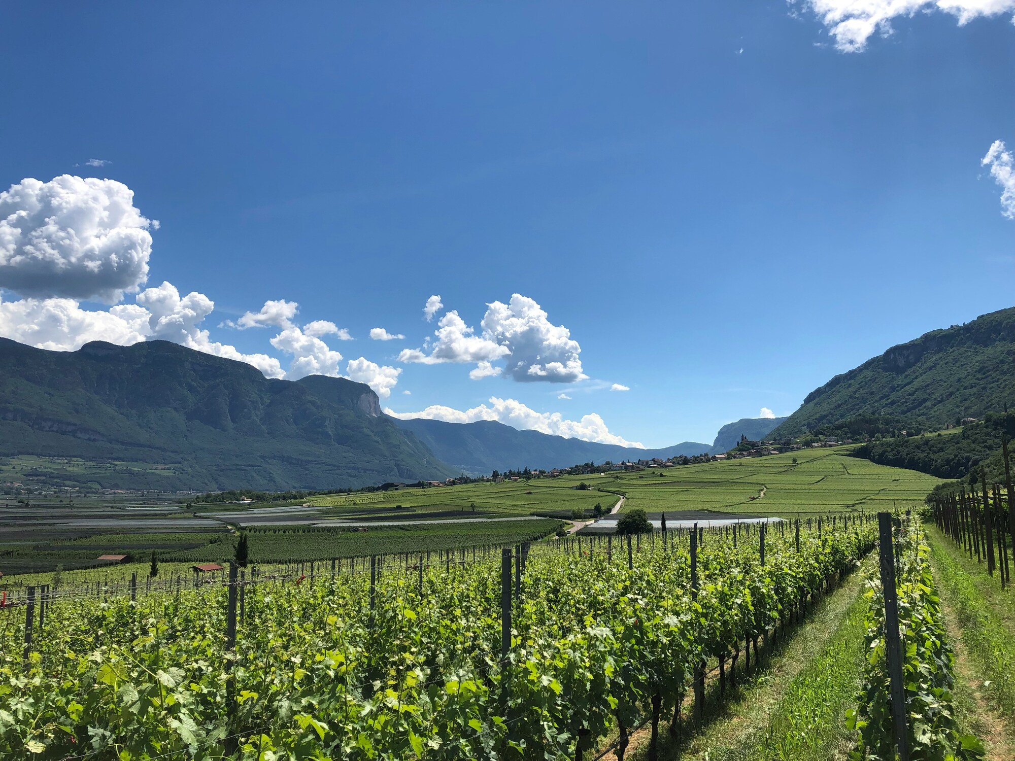 View of Southern South Tyrol