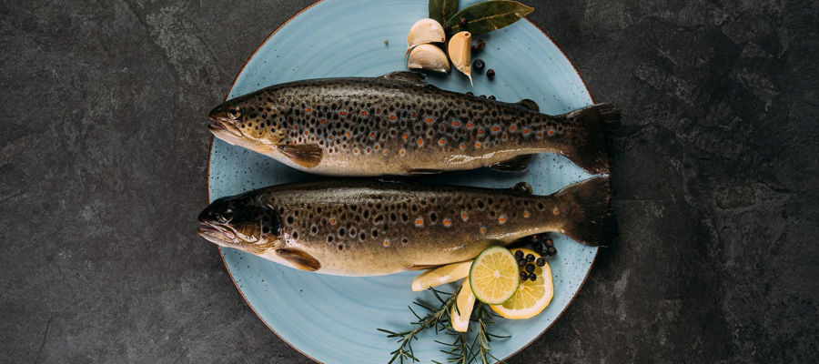 Fish specialities from the Passeiertal valley