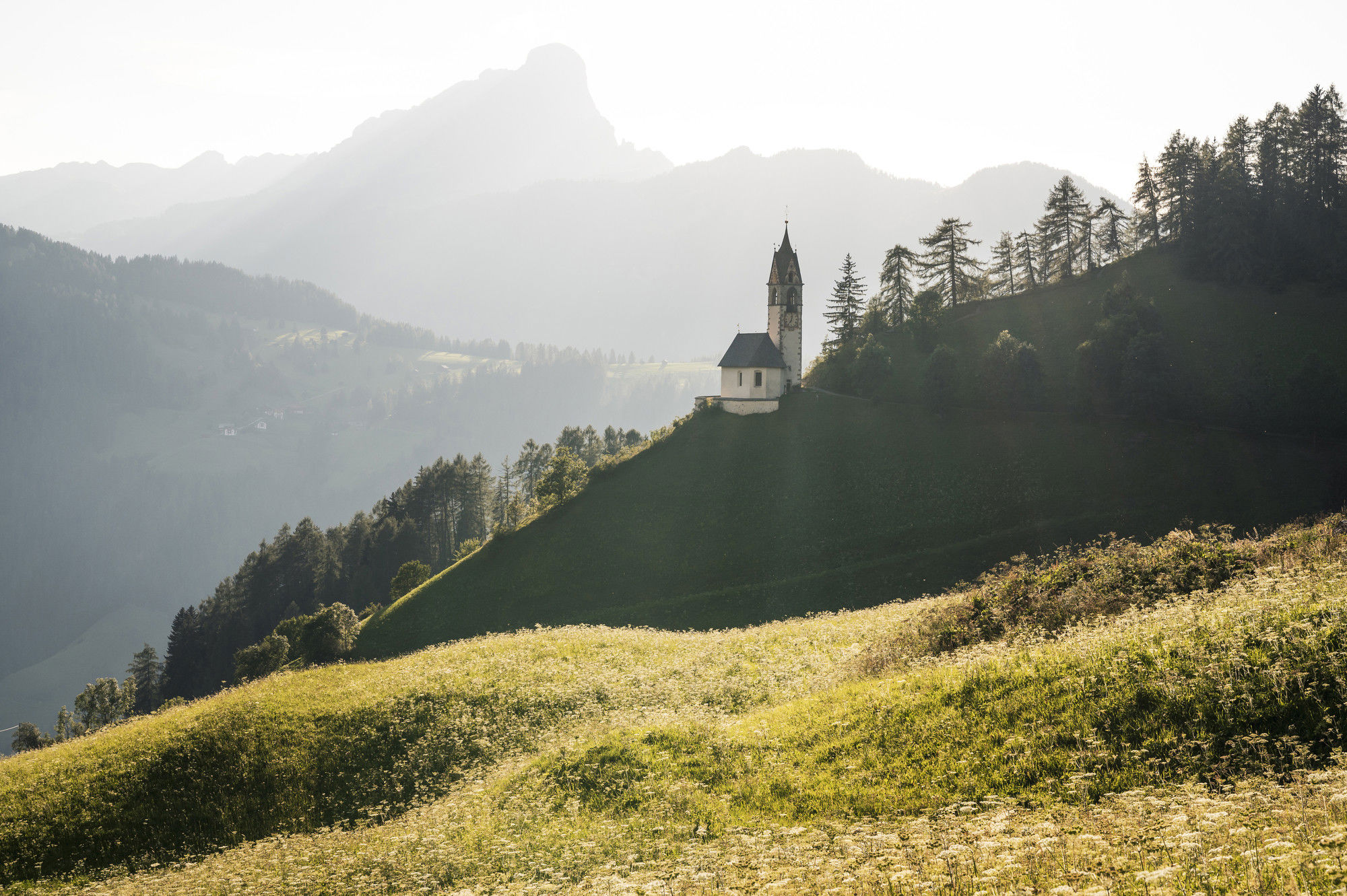 Small church on a hill in the middle of the green landscape.