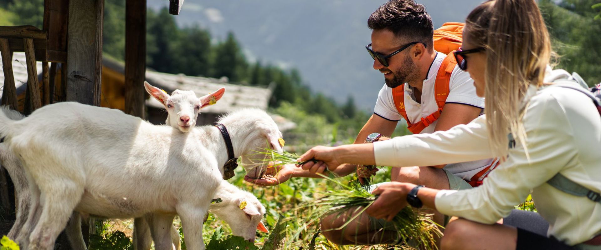 Cuddling the goats in the Rossy Park at Monte Cavallo in Sterzing