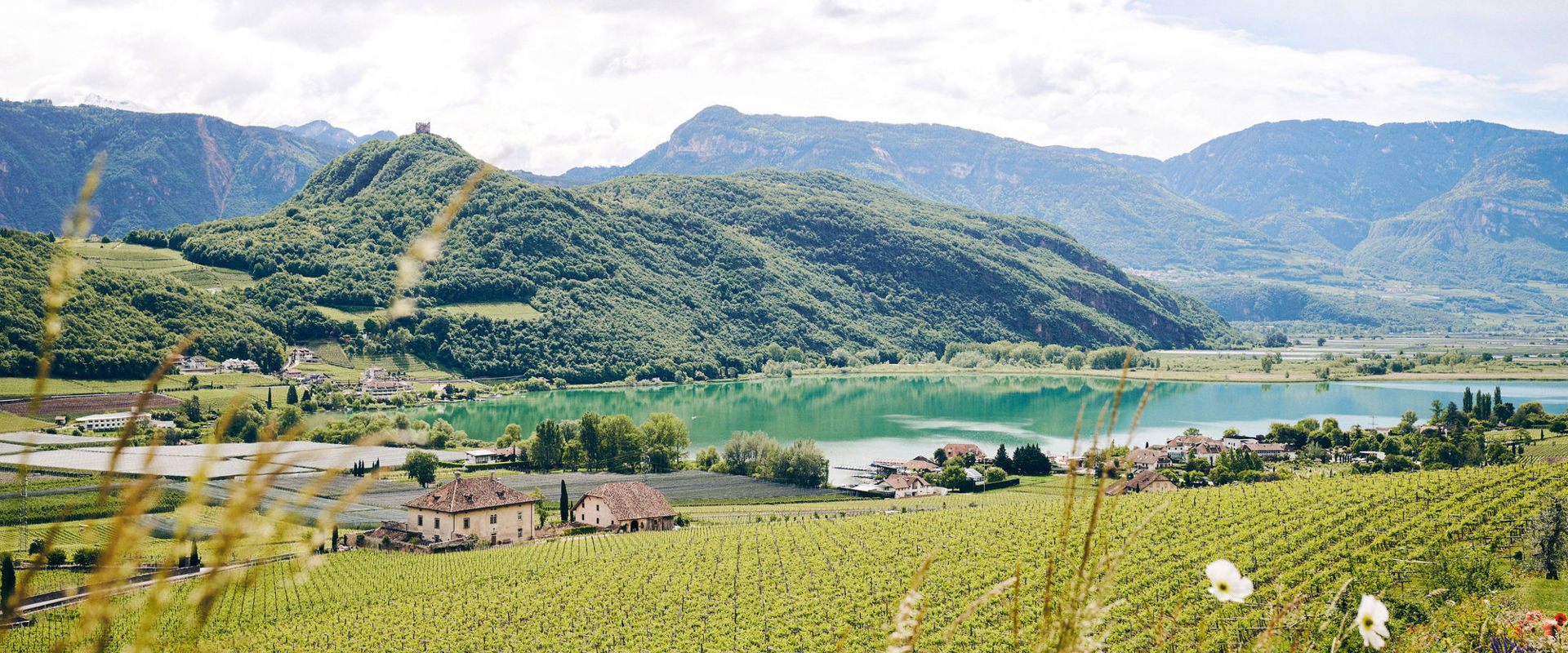 Lake Kaltern View of the vineyards, farms and the lake.