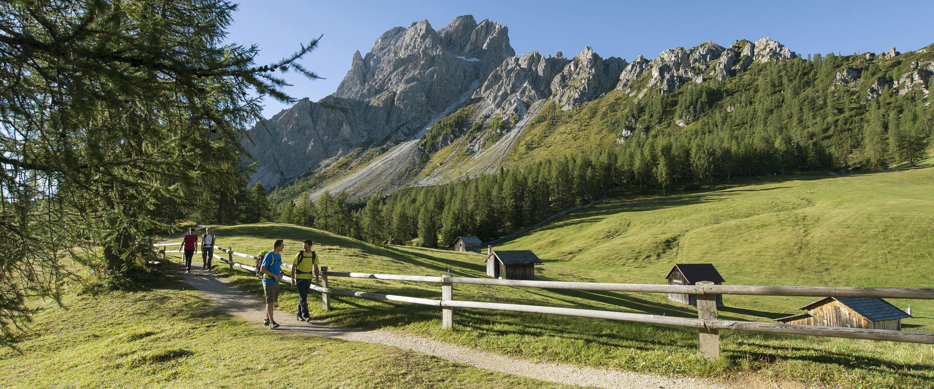 Hikers on the Gsellwiesen meadows with Dolomites view