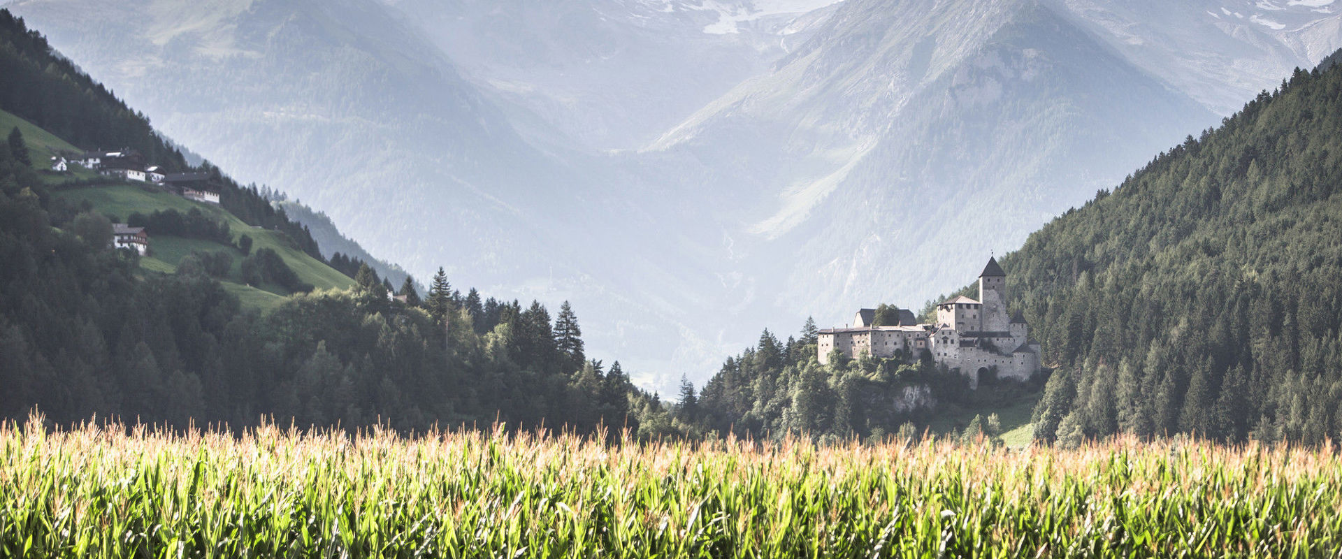 Taufers Castle in the Tauferer-Ahrntal Valley View across the field to Taufers Castle in the Tauferer-Ahrntal Valley.