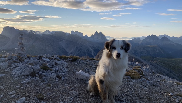 Wędrówki z psem w Dolomitach